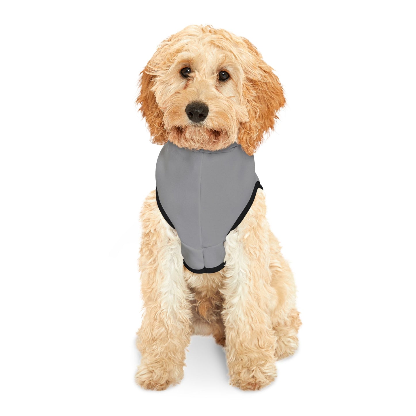 Pet Hoodie - NO Pain No Gain Graphic Pet Apparel